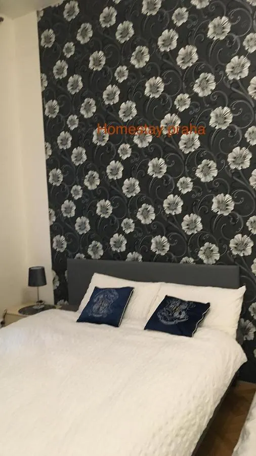 Hotel Apartment In Square Praha 2 Czechy