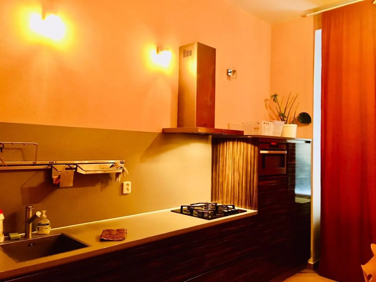Hotel Apartment In Square Praha 2  Praga