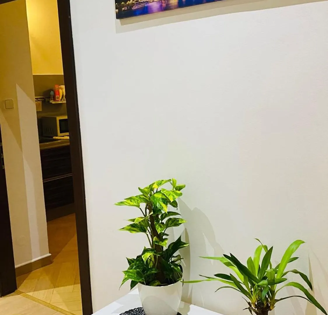 Hotel Apartment In Square Praha 2 Czechy