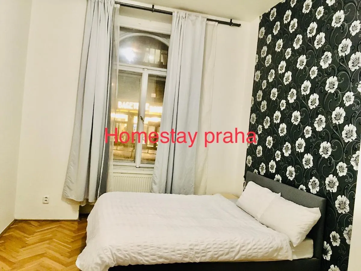 Hotel Apartment In Square Praha 2